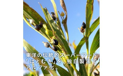 U-4　[ファイン]はとむぎＣ美人粒 ３個セット